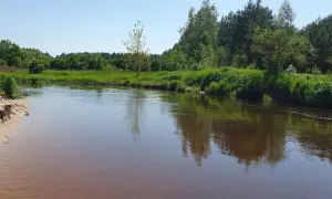 Spływy kajakowe Tanew Ranczo Pisklaki – idealne trasy dla każdego