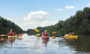 Spływy kajakowe relaks - odkryj spokojne trasy w Roztoczu