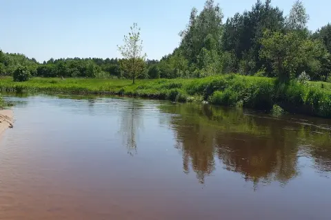 Spływy kajakowe Tanew Ranczo Pisklaki – idealne trasy dla każdego