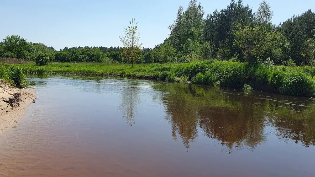 Spływy kajakowe Tanew Ranczo Pisklaki – idealne trasy dla każdego