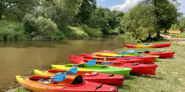 Spływy kajakowe na Tanwi z Kajakami Susiec - bezpieczne przygody dla rodzin
