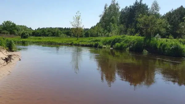 Spływy kajakowe Tanew Ranczo Pisklaki – idealne trasy dla każdego